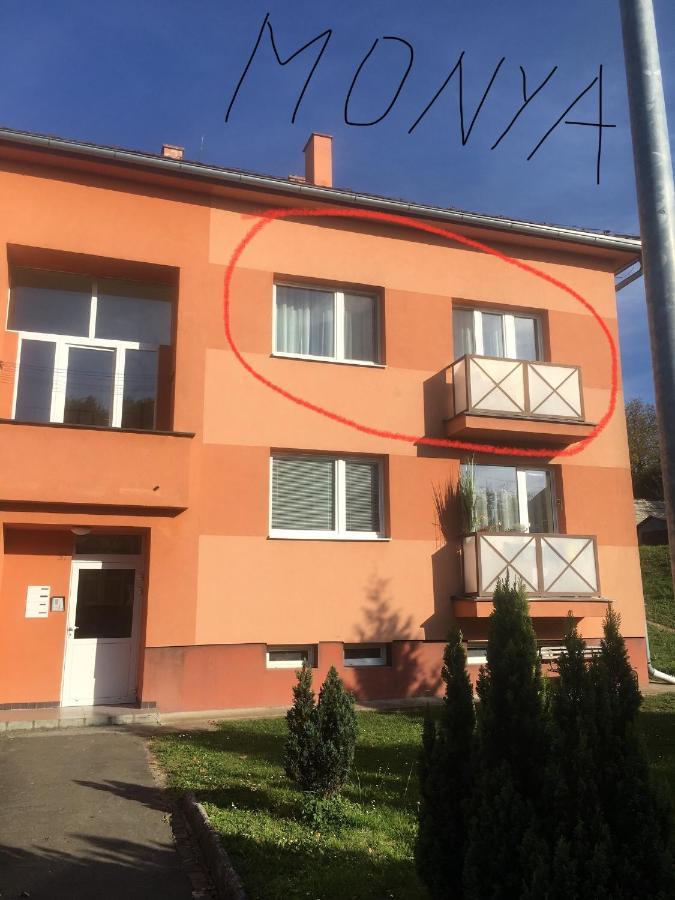 Apartman Monya Turčianske Teplice المظهر الخارجي الصورة